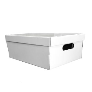 Caja mediana lisa blanca
