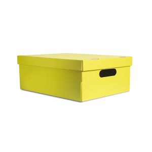Caja mediana lisa verde