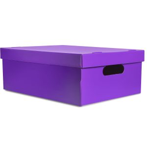 Caja mediana lisa violeta